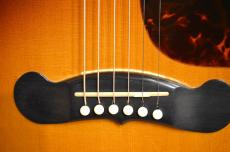 Gibson EC-30 Blues King Electro　1997年製_14