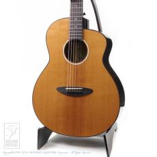 aNueNue LF660E (Torrefied Sitka Spruce)