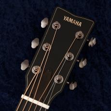YAMAHA 【アウトレット特価!】 FG9 M 【48回無金利】【日本製】【アディロントップ】【買取・下取強化中!】_3