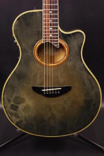 YAMAHA APX-10S