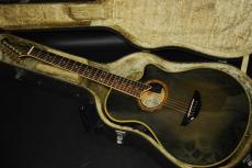 YAMAHA APX-10S_2