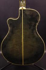 YAMAHA APX-10S_3