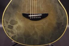 YAMAHA APX-10S_9