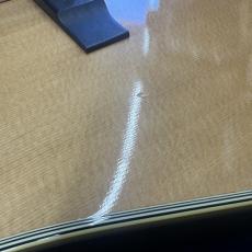 Tokai Cat's Eye CE-600CF_7