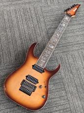 Ibanez RG8527 「BSR (Brownish Sphalerite)」【7弦】 【現物写真】SPOT モデル_2