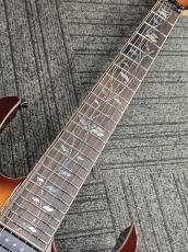 Ibanez RG8527 「BSR (Brownish Sphalerite)」【7弦】 【現物写真】SPOT モデル_4