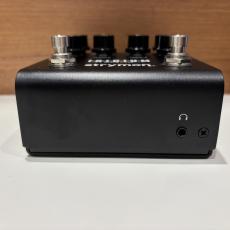 strymon IRIDIUM 【現物写真】_4