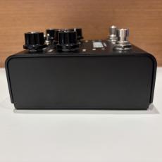 strymon IRIDIUM 【現物写真】_6