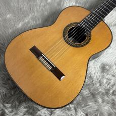 君島聡 2025年製 STELLA/杉/ローズウッド【640mm】【島村楽器限定仕様】