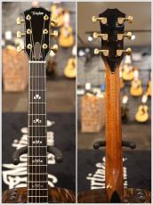 Taylor 【月末特価】【個体演奏動画あり】【USED】CTM DNE-BRZ '14年製【ハカランダモデル】_9