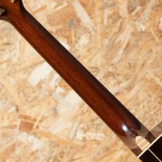 James Goodall BRGCC Master Grade Adirondack Spruce × Brazilian Rosewood_7