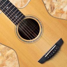 James Goodall BRGCC Master Grade Adirondack Spruce × Brazilian Rosewood_11