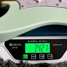 Ibanez AZ22S2-MGR (Mint Green) -AZ Standard-_11