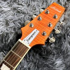 Aria Pro II PE-AE200 MP (Misty Pink) -Aria Evergreen- 【生産完了特価】_6