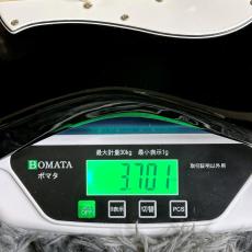 YAMAHA Pacifica Standard Plus PACS+12 BL (Black) 【特価】_11