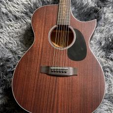 ARIA AF-101MHCE N (Natural) 【特価】【エレアコ】