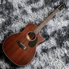 ARIA AF-101MHCE N (Natural) 【特価】【エレアコ】_2