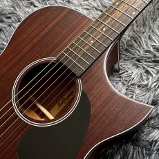 ARIA AF-101MHCE N (Natural) 【特価】【エレアコ】_4