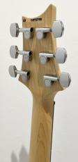 Paul Reed Smith [PRS] CE 24 / Faded Gray Black_9