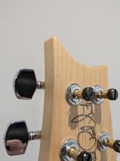 Paul Reed Smith [PRS] CE 24 / Faded Gray Black_10