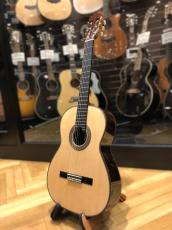 西野 春平 NR-3(Spruce・650)スーパーライトケースセット_2