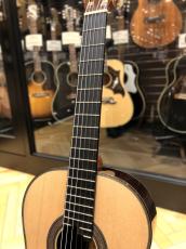 西野 春平 NR-3(Spruce・650)スーパーライトケースセット_4