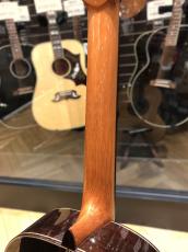 西野 春平 NR-3(Spruce・650)スーパーライトケースセット_8