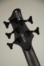 Ibanez BTB805MS-TGF / Transparent Gray Flat_7