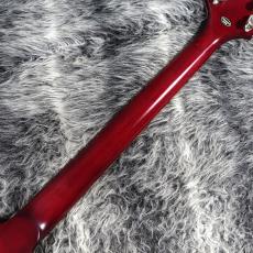 Epiphone Flying V Prophecy Aged Bengal Tiger Burst_7