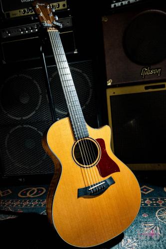 Taylor GCce Walnut Japan LTD / 2015
