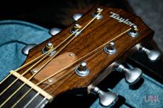 Taylor GCce Walnut Japan LTD / 2015_2