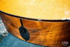 Taylor GCce Walnut Japan LTD / 2015_4