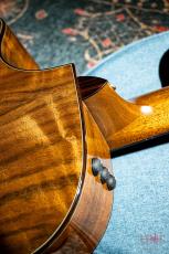 Taylor GCce Walnut Japan LTD / 2015_5