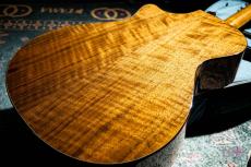 Taylor GCce Walnut Japan LTD / 2015_7