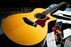 Taylor GCce Walnut Japan LTD / 2015_8