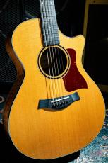 Taylor GCce Walnut Japan LTD / 2015_9