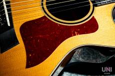 Taylor GCce Walnut Japan LTD / 2015_10