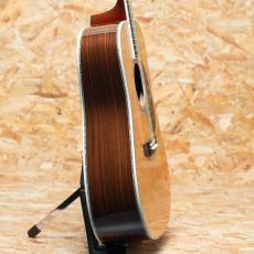 Martin D-45 2011_4