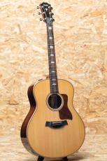 Taylor 818e_3