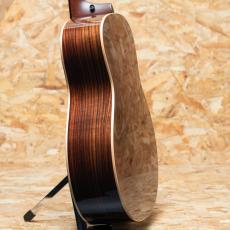 Taylor 818e_5