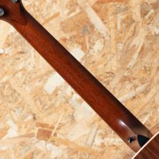 Taylor 818e_7