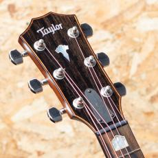 Taylor 818e_8