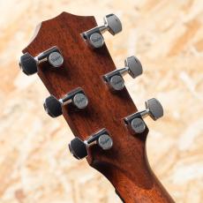 Taylor 818e_9