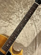 KING SNAKE 【NEW】Curtis Deep Body Amber Natural sn CD-036 [2.66kg]【G-CLUB TOKYO】_9