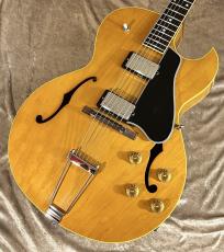 KING SNAKE Curtis H Deep Body Amber Natural CHD-022 [2.65kg]【G-CLUB TOKYO】