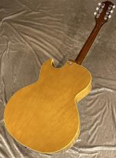 KING SNAKE Curtis H Deep Body Amber Natural CHD-022 [2.65kg]【G-CLUB TOKYO】_3