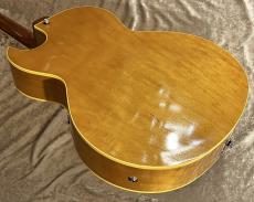 KING SNAKE Curtis H Deep Body Amber Natural CHD-022 [2.65kg]【G-CLUB TOKYO】_5