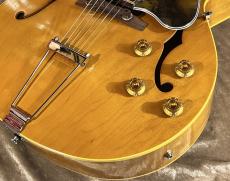 KING SNAKE Curtis H Deep Body Amber Natural CHD-022 [2.65kg]【G-CLUB TOKYO】_6