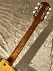 KING SNAKE Curtis H Deep Body Amber Natural CHD-022 [2.65kg]【G-CLUB TOKYO】_8