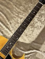 KING SNAKE Curtis H Deep Body Amber Natural CHD-022 [2.65kg]【G-CLUB TOKYO】_9